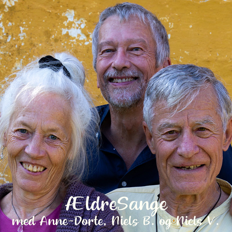 ÆldreSange gruppen bestående af Anne-DorteHejlskov , Niels Borup og Niels Vandrefalk.